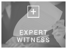 expert witness